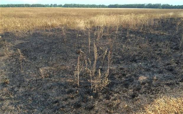 Báo Anh tìm ra địa điểm nghi đã bắn tên lửa vào chuyến bay MH17 ảnh 1