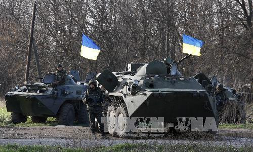 Nga quan ngại về "những tuyên bố quân phiệt" của Ukraine ảnh 1