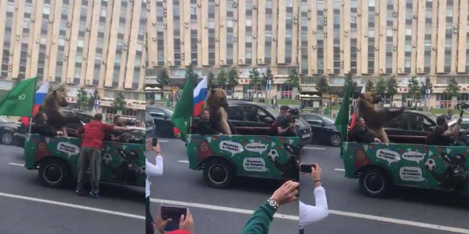 Fan Nga đem gấu đi diễu phố sau chiến thắng trước Saudi Arabia ảnh 1