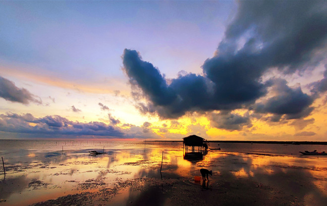 Hoàng hôn trên bãi bồi điểm cực Nam Tổ quốc. (Ảnh: Hoài Nam/Vietnam+) Những điểm đến không thể bỏ lỡ trong các tour du lịch Tây Nam Bộ ảnh 11