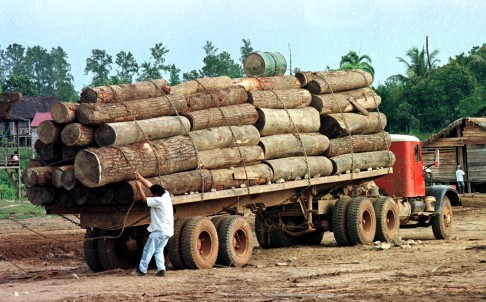 Myanmar phóng thích tù nhân Trung Quốc bị bắt vì khai thác gỗ ảnh 1