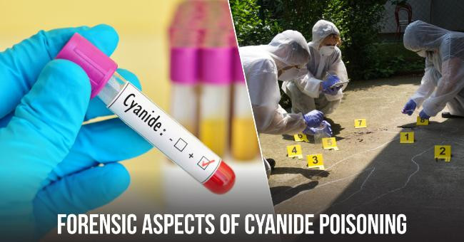 Giết người bằng chất xyanua có thể phải đối mặt với mức án nào?