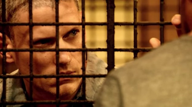 Fan phát cuồng khi Michael Scotfield "hồi sinh" trong Prison Break ảnh 1