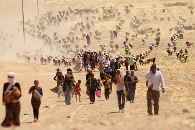 Người tị nạn Yazidi phải cho con bú sữa dê khi chạy trốn ISIS ảnh 1