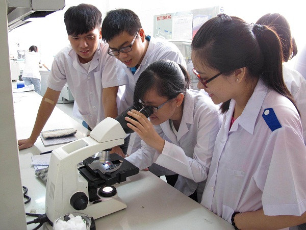 Phó Thủ tướng ký quyết định thành lập Trường Đại học Hạ Long ảnh 1