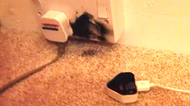 Một phụ nữ bị điện giật chết do gọi điện thoại khi đang cắm sạc pin ảnh 1