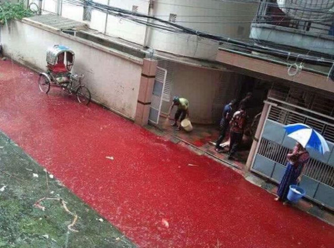 Đường phố nhuộm đỏ máu vì lễ hiến sinh gây cảm giác ghê rợn ảnh 2