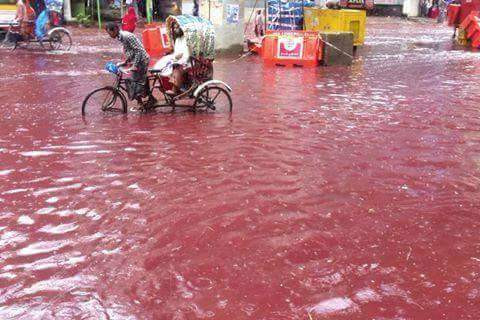 Đường phố nhuộm đỏ máu vì lễ hiến sinh gây cảm giác ghê rợn ảnh 1