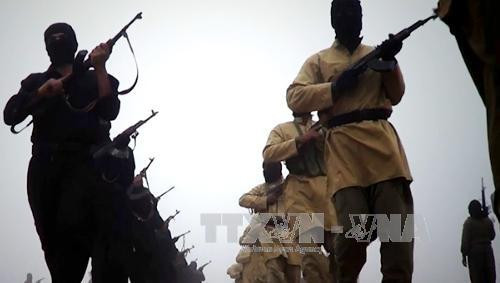 Chuyên gia Israel cảnh báo về sự tàn bạo của tổ chức IS ảnh 1