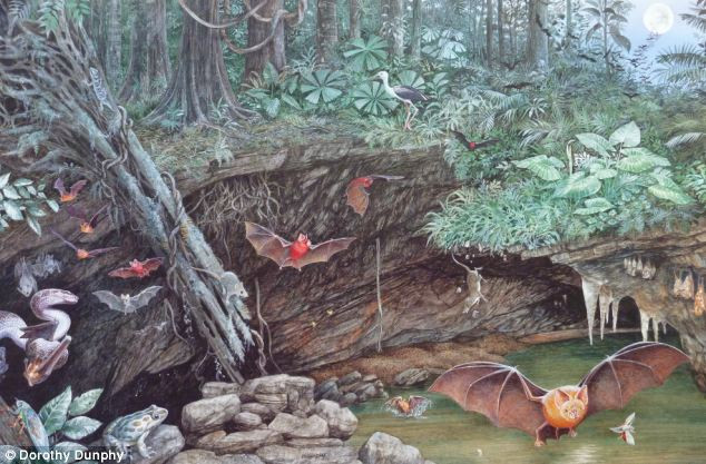 Tìm thấy mẫu tinh trùng hóa thạch có niên đại 17 triệu năm ảnh 2