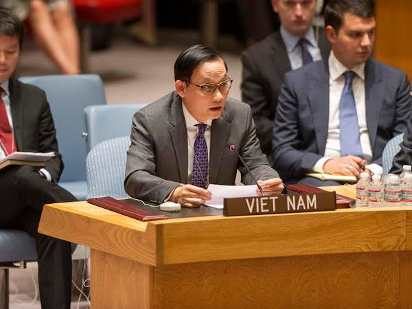 Việt Nam đề nghị tiến hành một cuộc điều tra minh bạch về vụ MH17 ảnh 1