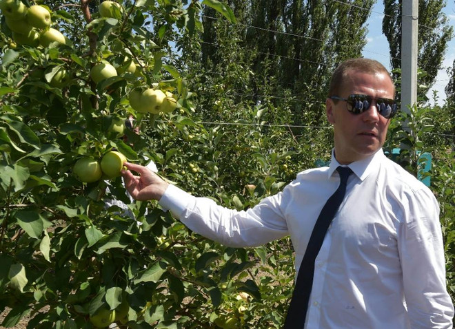 Thủ tướng Nga Medvedev tới đảo Kuril, Nhật Bản phản đối dữ dội ảnh 1