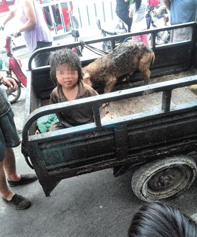 Trung Quốc rúng động vụ với cậu bé sống với lợn, 7 tuổi chưa biết nói ảnh 1