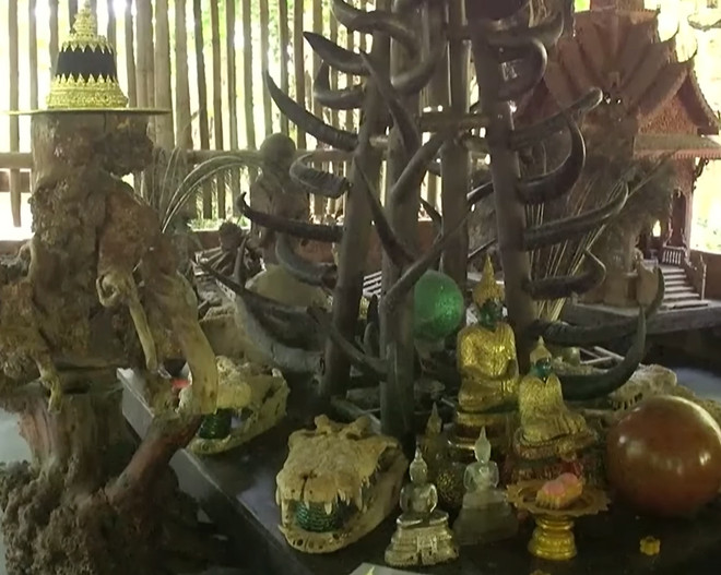 thien dinh thai lan.jpg