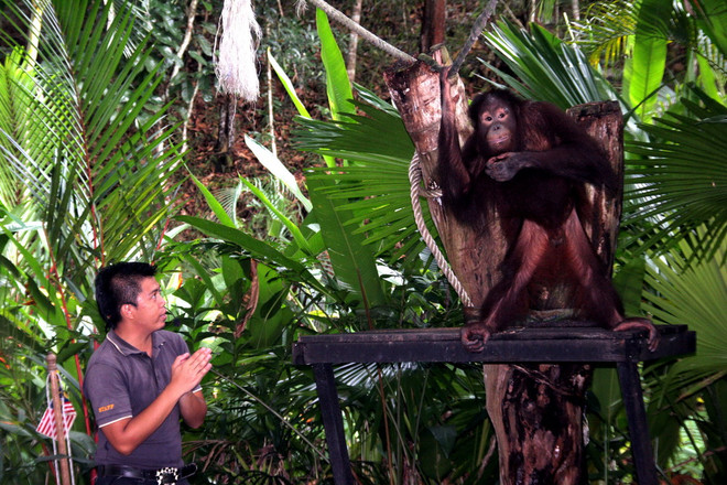 Kota Kinabalu: Điểm đến lý tưởng khi du lịch Malaysia ảnh 6