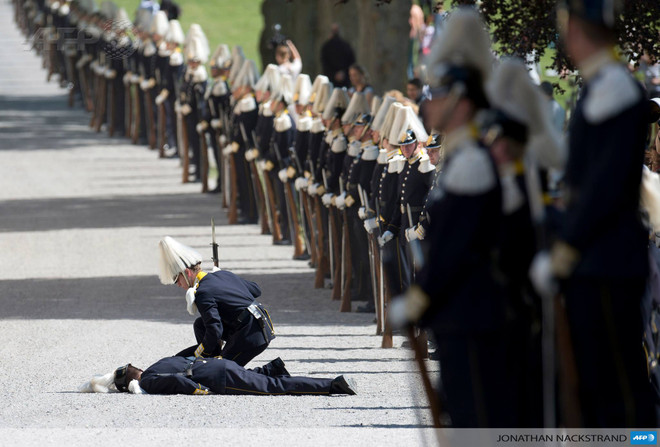 [Photo] Quân cảnh Hoàng gia Thụy Điển ngất xỉu do say nắng ảnh 1