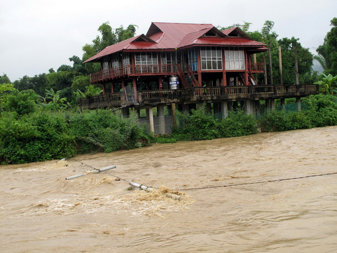 Tuyên Quang thiệt hại nặng do mưa lũ, ngập úng 400 ha lúa ảnh 1