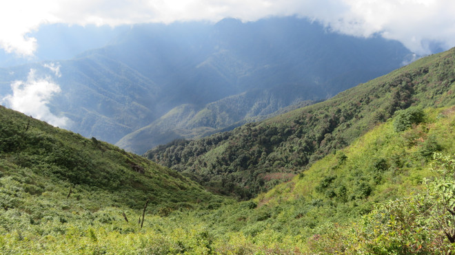 vnp_ bach moc luong tu.jpg