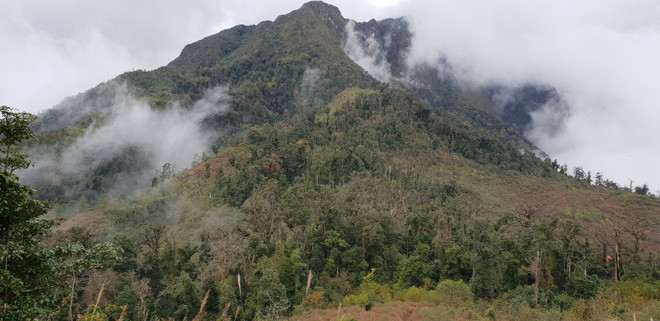 vnp_ bach moc luong tu 2.jpg