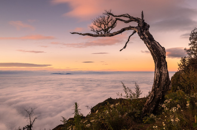 vnp_ hoang hon lao than.jpeg