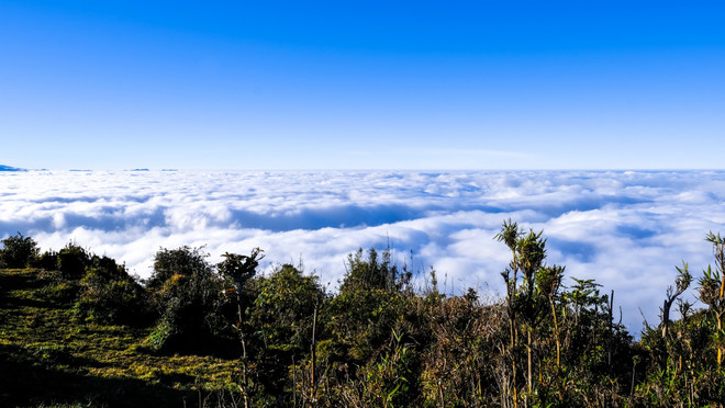 vnp_ lung cung 2.jpg