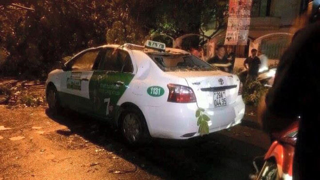 Hà Nội: Cây xà cừ lớn bật gốc đè chết người trên phố Nguyễn Du ảnh 2