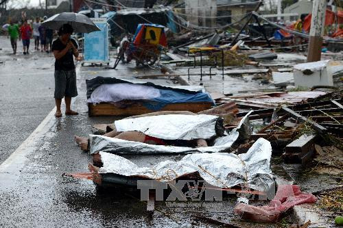 Hình ảnh không thể cầm lòng về bão Haiyan tàn phá Philippines ảnh 1