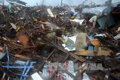 Hình ảnh không thể cầm lòng về bão Haiyan tàn phá Philippines ảnh 2