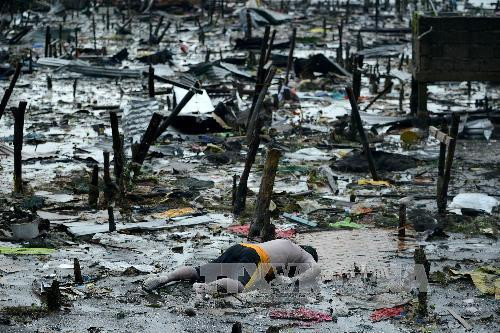 Hình ảnh không thể cầm lòng về bão Haiyan tàn phá Philippines ảnh 5