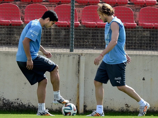 HLV Hodgson thách thức Luis Suarez chứng minh đẳng cấp ảnh 1