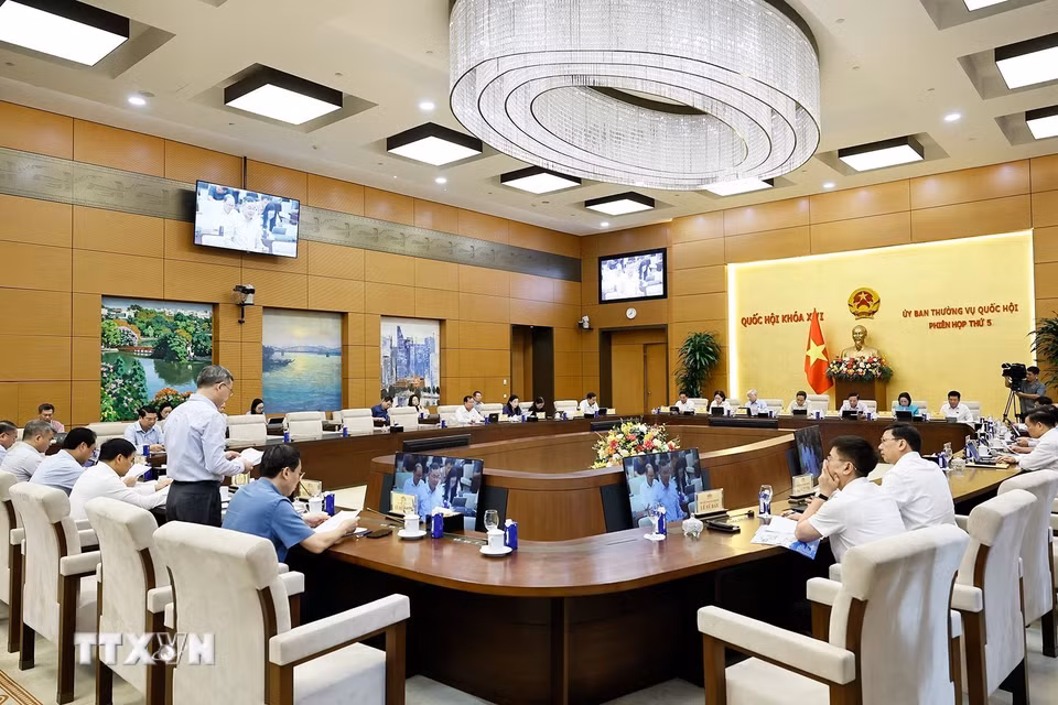 Phiên họp thứ 5 của Ủy ban Thường vụ Quốc hội, sáng 14/8/2026. (Ảnh: Doãn Tấn/TTXVN)