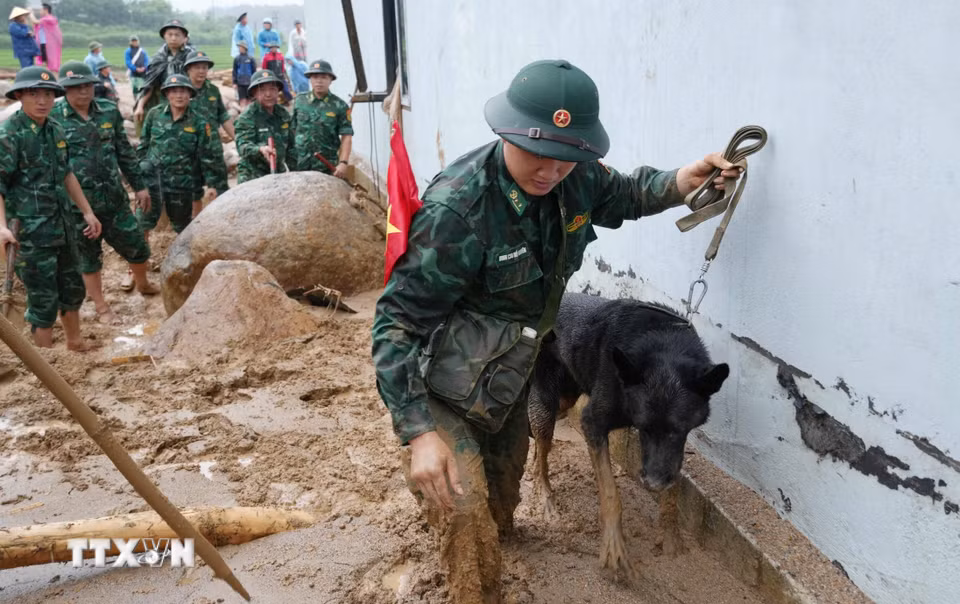 Bộ Chỉ huy quân sự tỉnh Lai Châu huy động chó nghiệp vụ đến hiện trường tìm kiếm nạn nhân. (Ảnh: Nguyễn Oanh/TTXVN)