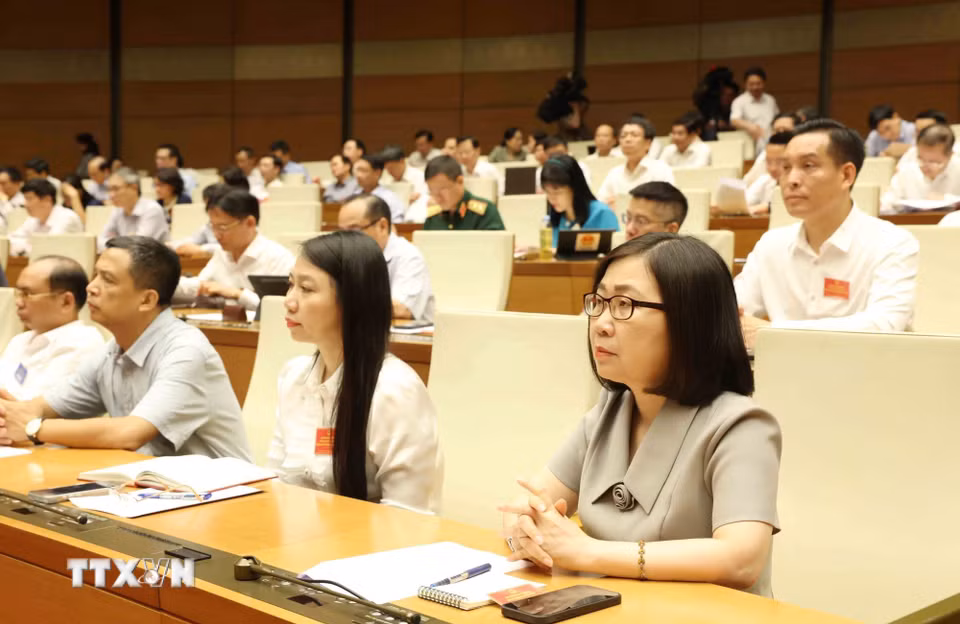 Đại biểu tham dự hội nghị. (Ảnh: Phương Hoa/TTXVN)