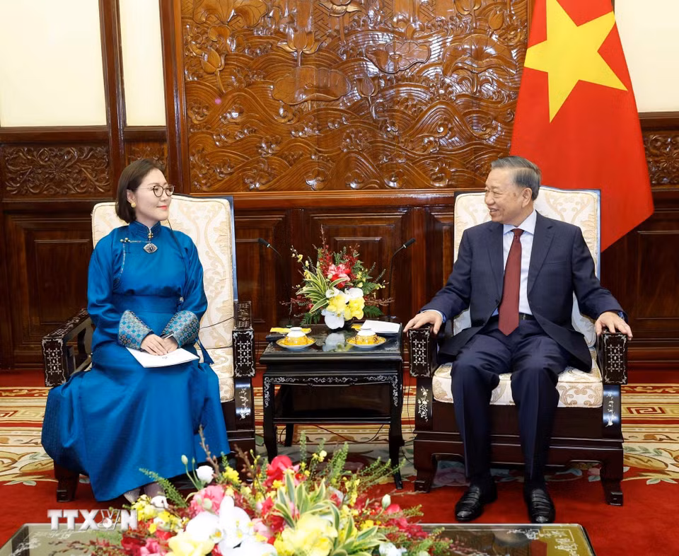 Tổng Bí thư, Chủ tịch nước Tô Lâm tiếp Đại sứ các nước trình Quốc thư- Ảnh 8.