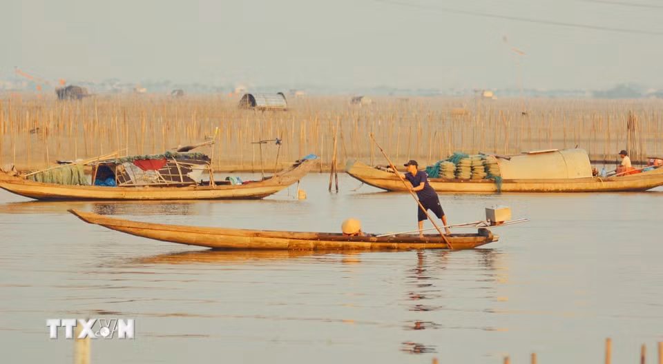 Vẻ đẹp bình yên của nhịp sống trên phá Tam Giang vào lúc bình minh. (Ảnh: Văn Dũng/TTXVN)