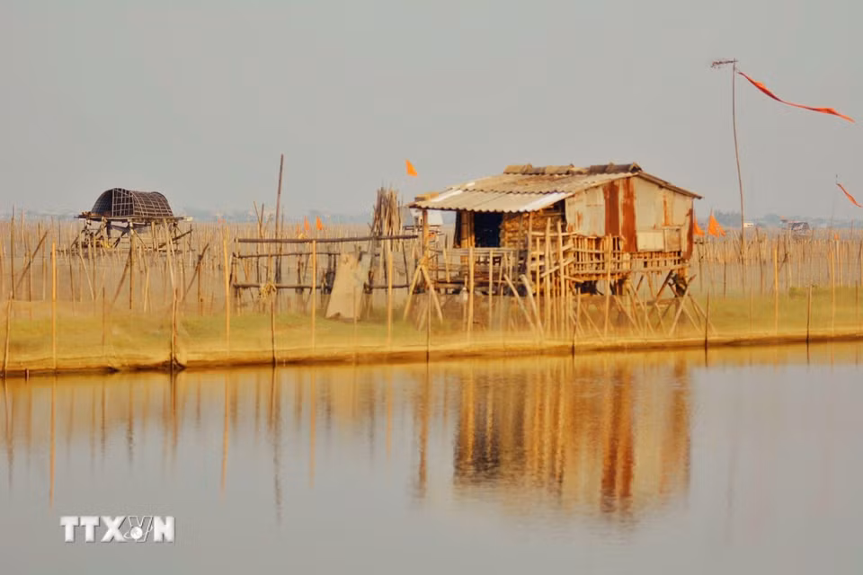 Phá Tam Giang với vẻ đẹp hoang sơ, lãng mạn lúc bình minh. (Ảnh: Văn Dũng/TTXVN)
