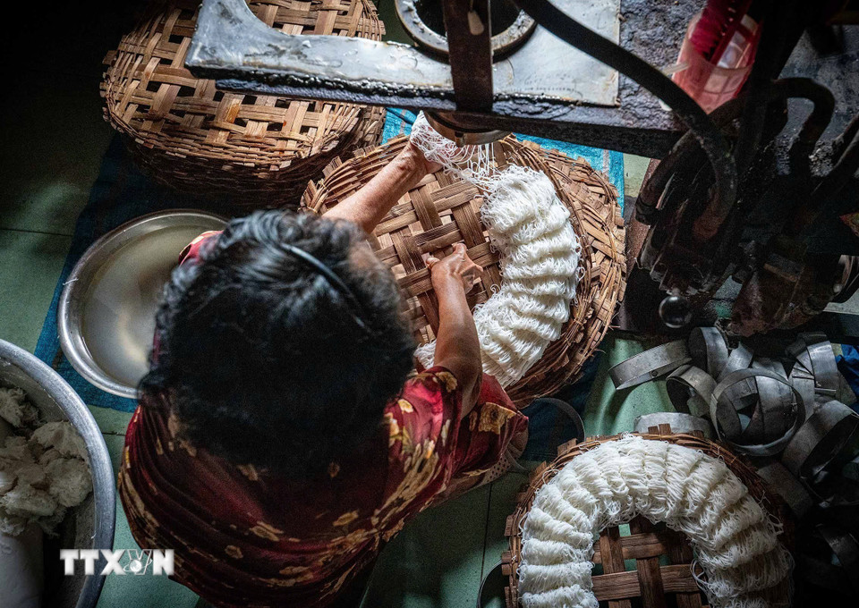 Bột bánh trong máy ép tuôn ra thành sợi nhuyễn. Người thợ thoăn thoắt dùng tay hứng và ngắt sợi thành từng cụm bánh nhỏ, đều đặn trên khay bằng tre. (Ảnh: Khánh Hòa/TTXVN)