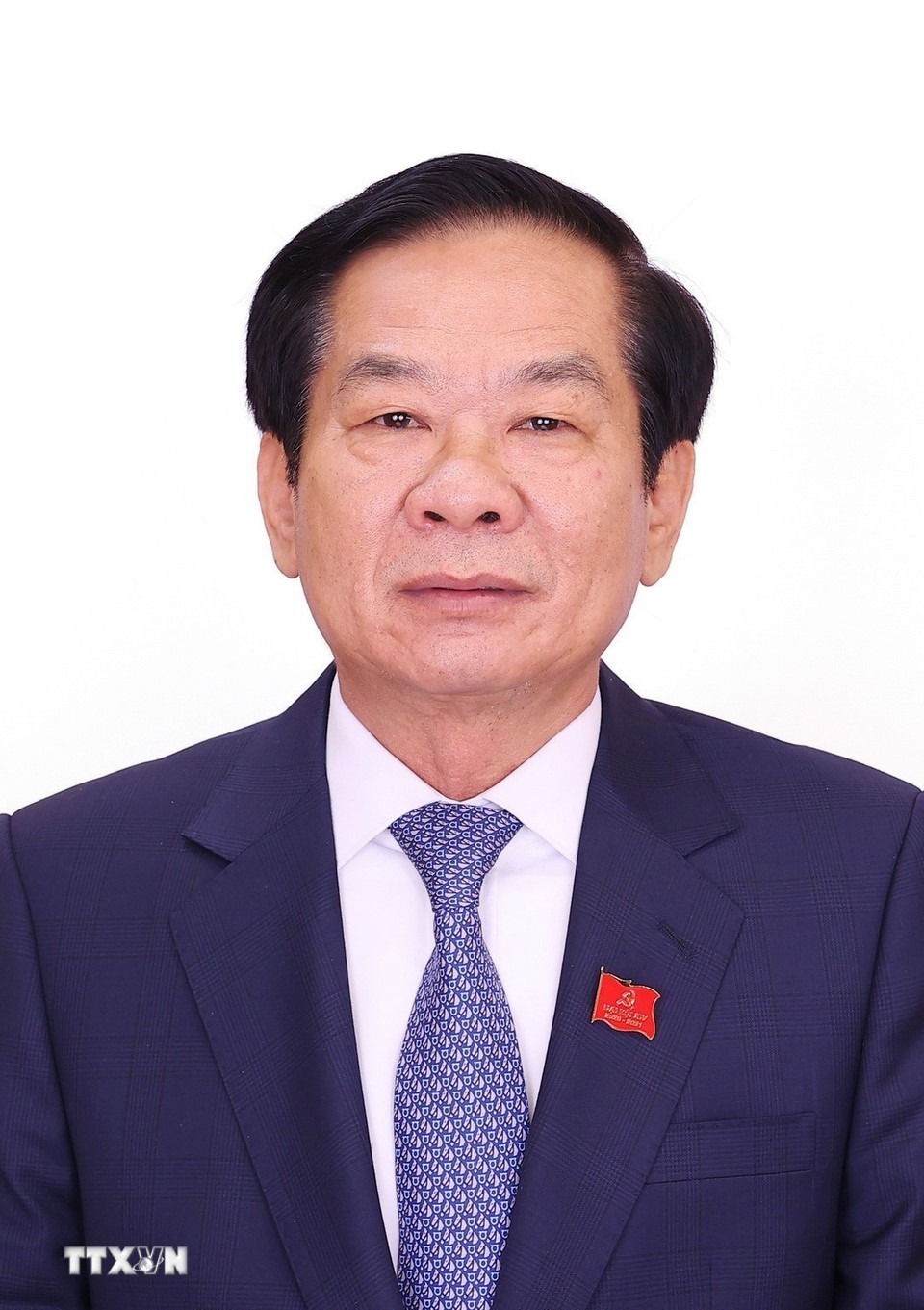 Đồng chí Đỗ Thanh Bình, Ủy viên Ban Thường vụ Đảng ủy Chính phủ, Bộ trưởng Bộ Nội vụ, Phó Trưởng Ban Tổ chức Trung ương. (Ảnh: TTXVN)