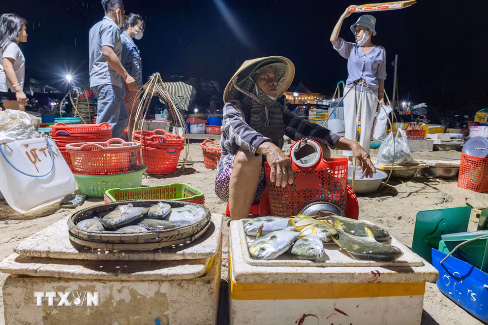 Phiên chợ ngắn ngủi nhưng sôi động, tạo nên một bức tranh đời sống đặc trưng của làng biển Tam Tiến, xã Tam Xuân, thành phố Đà Nẵng. (Ảnh: Xuân Quý/TTXVN)