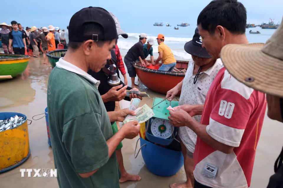 Ngư dân bán hải sản đánh bắt được sau mỗi chuyến biển đêm. (Ảnh: Xuân Quý/TTXVN)