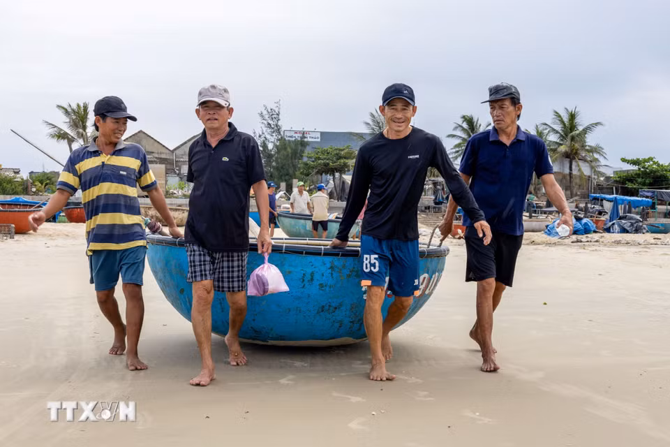 Mỗi chiếc thúng chở từ 3 đến 5 người rời bờ, đưa ngư dân ra những chiếc thuyền lớn neo ngoài khơi để bắt đầu chuyến đi biển. (Ảnh: Xuân Quý/TTXVN)