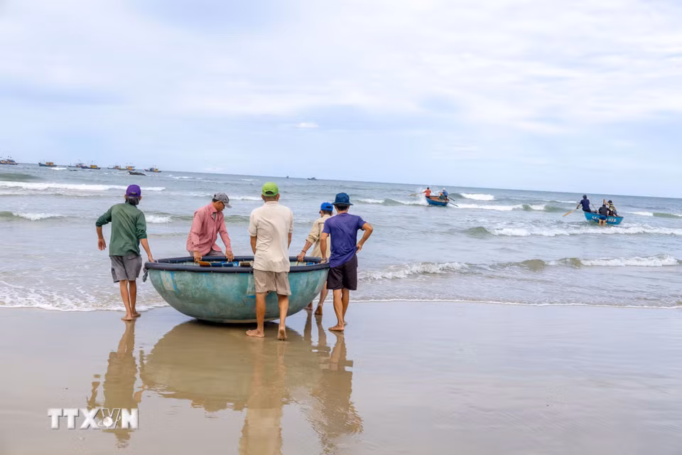 Từ bờ nhìn ra, những chiếc thúng nhỏ nối nhau trên mặt biển là thời điểm ngư dân Tam Tiến bước vào một đêm mưu sinh. (Ảnh: Xuân Quý/TTXVN)
