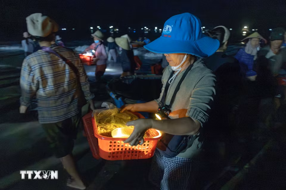 Những mẻ cá tươi rói của chuyến biển đêm được đưa thẳng từ thuyền lên bờ. (Ảnh: Xuân Quý/TTXVN)