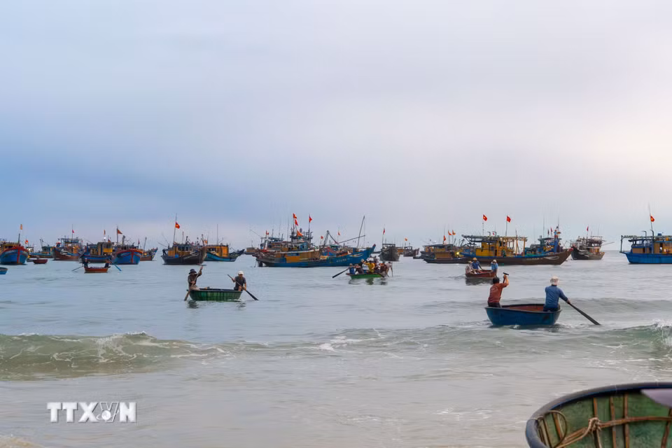 Khi chợ cá tan dần, những chiếc thuyền trở về nằm im bên bờ, làng biển lại trở về nhịp sống bình thường. (Ảnh: Xuân Quý/TTXVN)