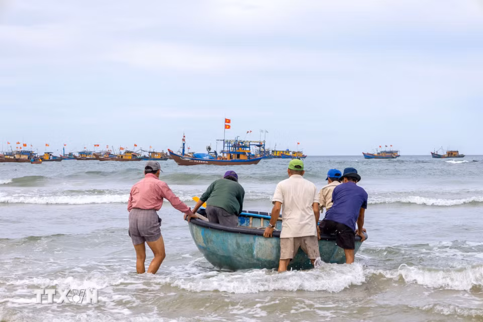 Khoảng 16 giờ hàng ngày, các đội thuyền lần lượt rời bờ, cùng nhau ra khơi đánh bắt đến rạng sáng hôm sau. (Ảnh: Xuân Quý/TTXVN)