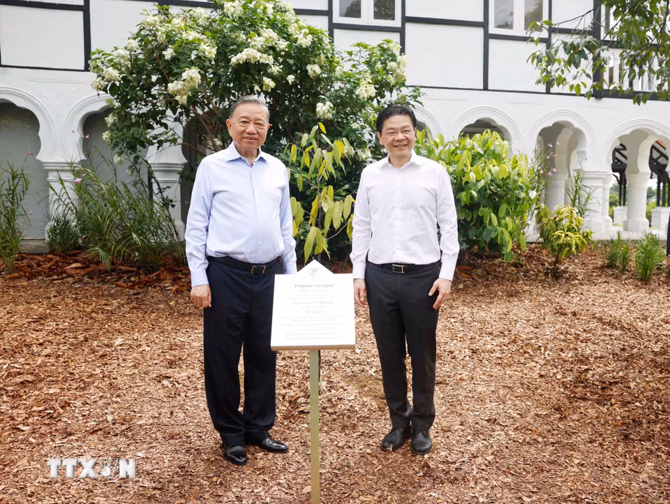 Tổng Bí thư, Chủ tịch nước Tô Lâm và Thủ tướng Singapore Lawrence Wong. (Ảnh: Thống Nhất/TTXVN)