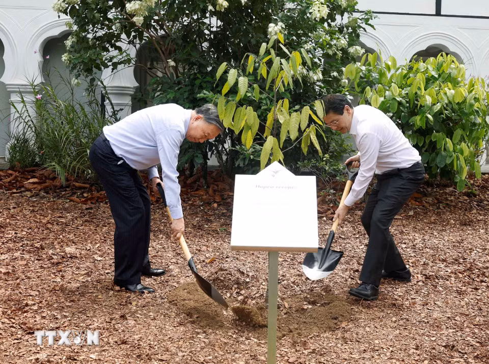 Tổng Bí thư, Chủ tịch nước Tô Lâm và Thủ tướng Singapore Lawrence Wong trồng cây lưu niệm. (Ảnh: Thống Nhất/TTXVN)