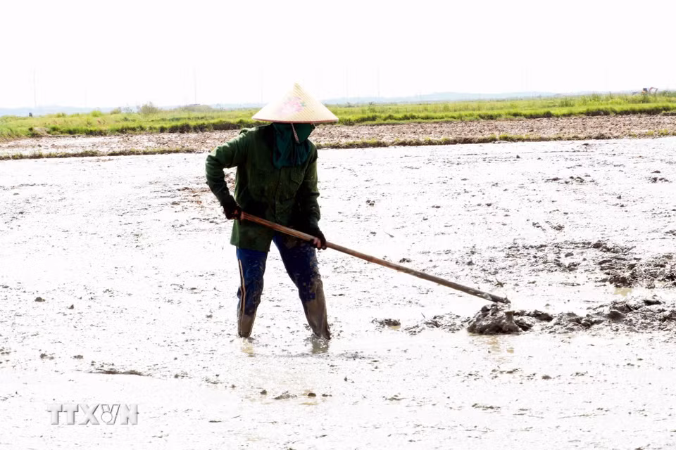 Thời tiết khắc nghiệt không chỉ ảnh hưởng đến sinh hoạt, sức khỏe của người dân mà còn gây khó khăn cho hoạt động sản xuất, thi công công trình, gia tăng nguy cơ cháy rừng và thiếu nước sinh hoạt tại nhiều địa phương. (Ảnh: Tá Chuyên/TTXVN)