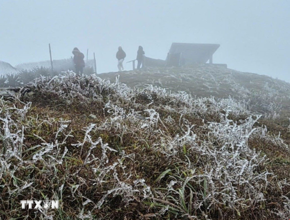 Sáng 22/1, nhiệt độ tại Mẫu Sơn, tỉnh Lạng Sơn đo được ở mức 0.2 độ C và đã bắt đầu xuất hiện hiện tượng băng giá. (Ảnh: TTXVN phát)