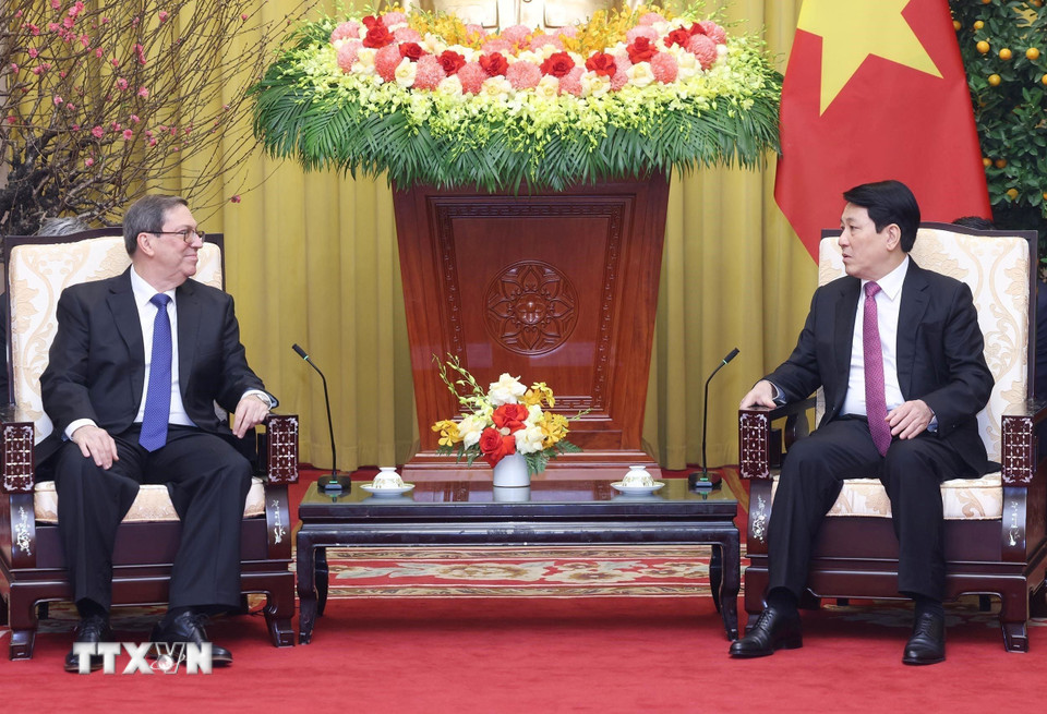 Chủ tịch nước Lương Cường tiếp Đặc phái viên Đảng Cộng sản Cuba, Nhà nước Cộng hòa Cuba, Ủy viên Bộ Chính trị, Bộ trưởng Ngoại giao Cuba Bruno Rodríguez Parrilla. (Ảnh: Lâm Khánh/TTXVN)